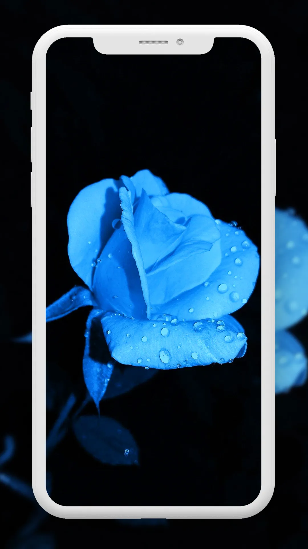 Flower Wallpaper HD – 4k | Indus Appstore | Screenshot