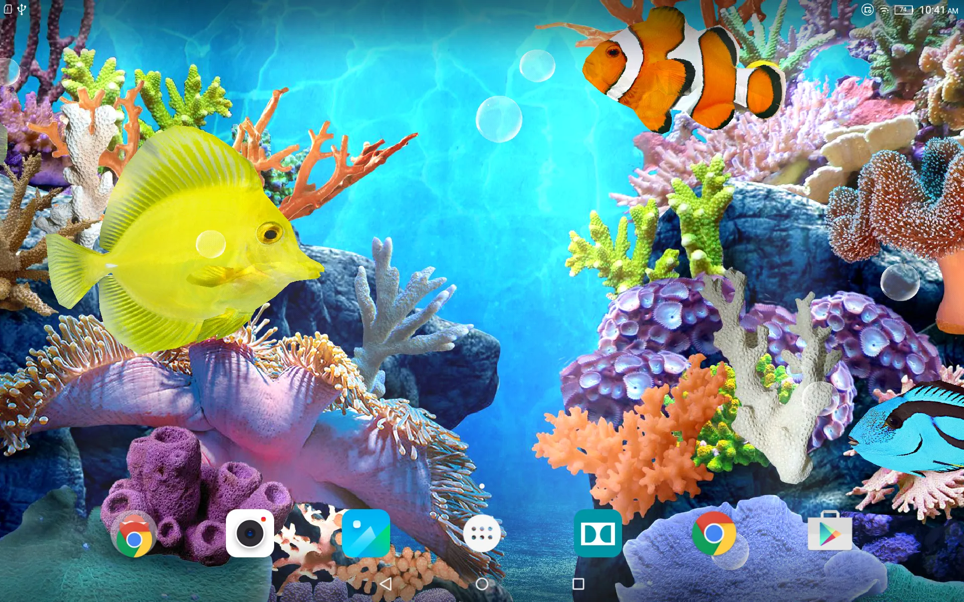 Coral Fish Live Wallpaper | Indus Appstore | Screenshot