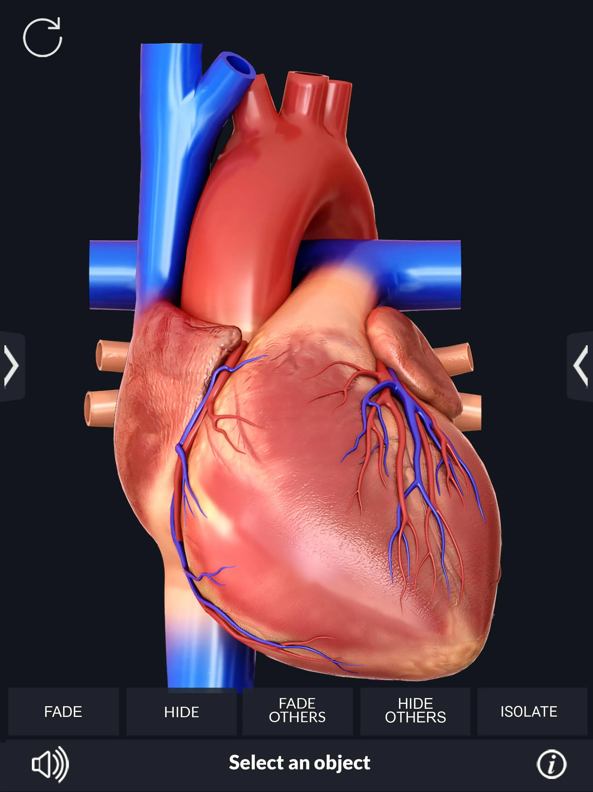 Heart Anatomy Pro. | Indus Appstore | Screenshot