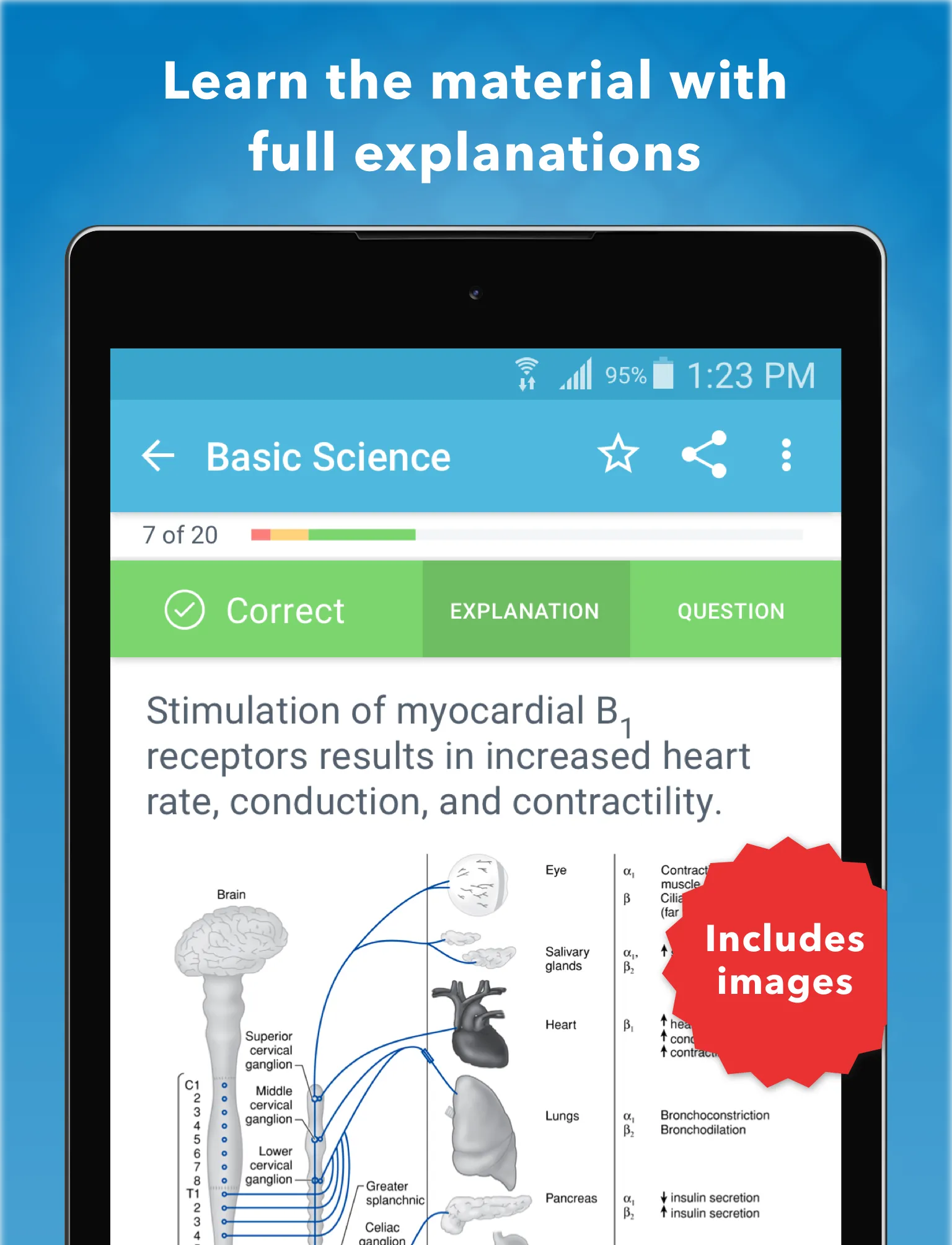 Nurse Anesthesia CRNA Review | Indus Appstore | Screenshot