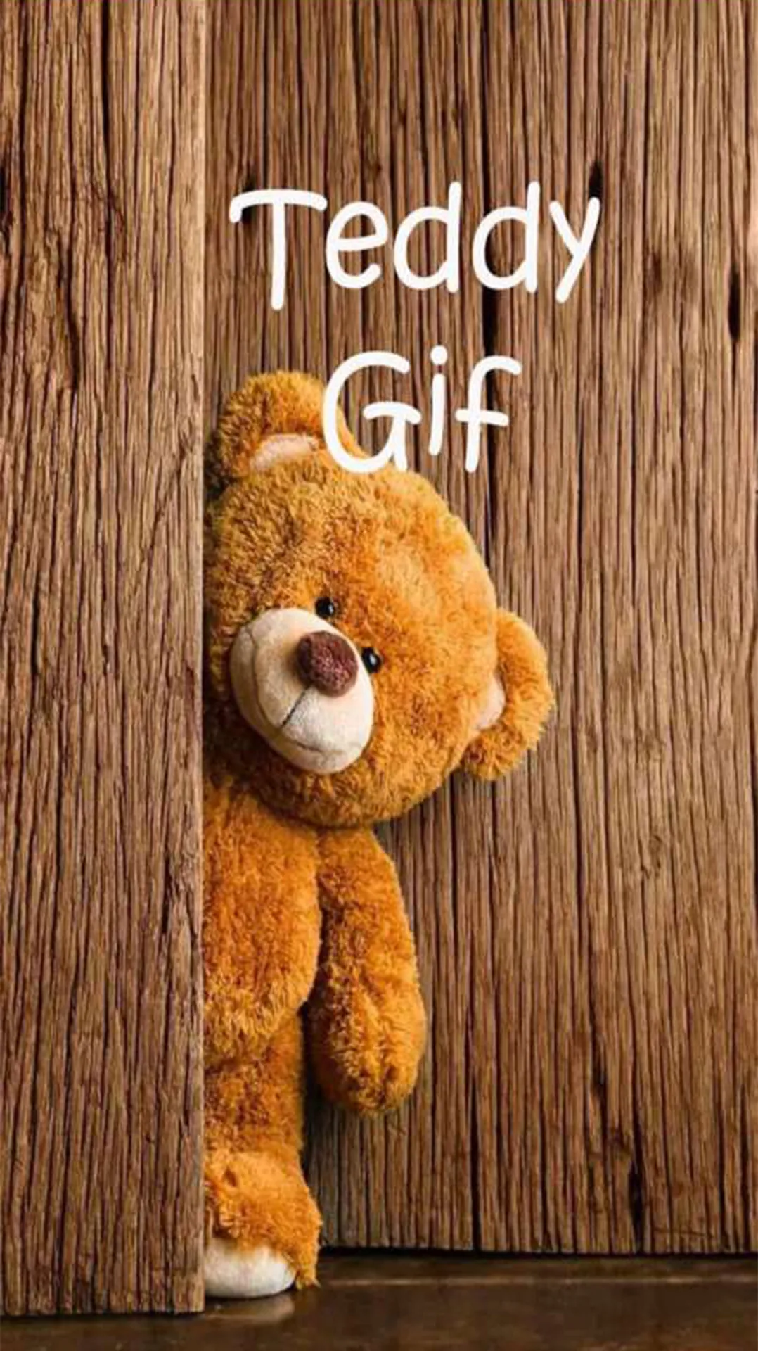 Teddy Gif Stickers | Indus Appstore | Screenshot