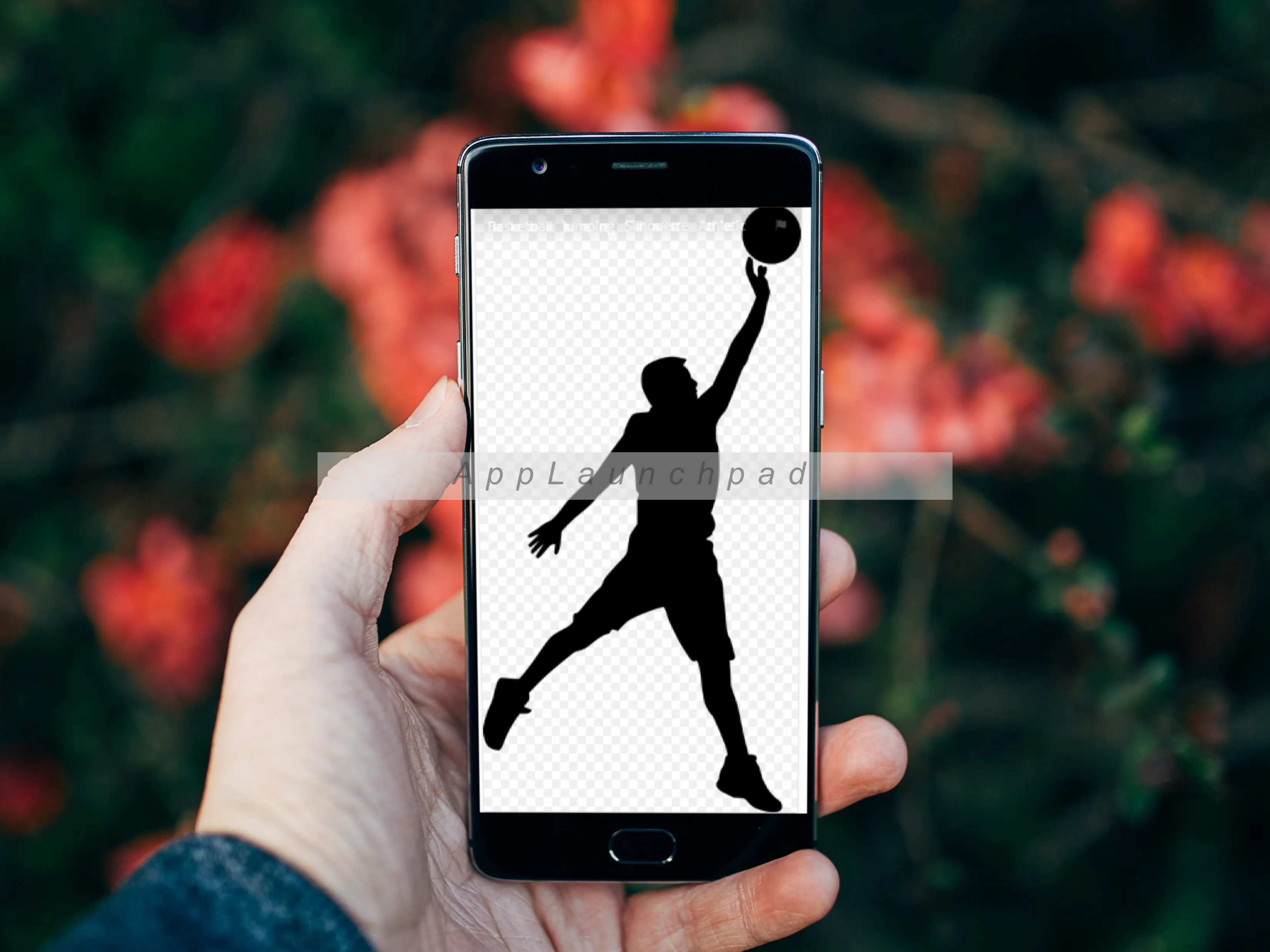 Basketball Rules+ Skills Guide | Indus Appstore | Screenshot