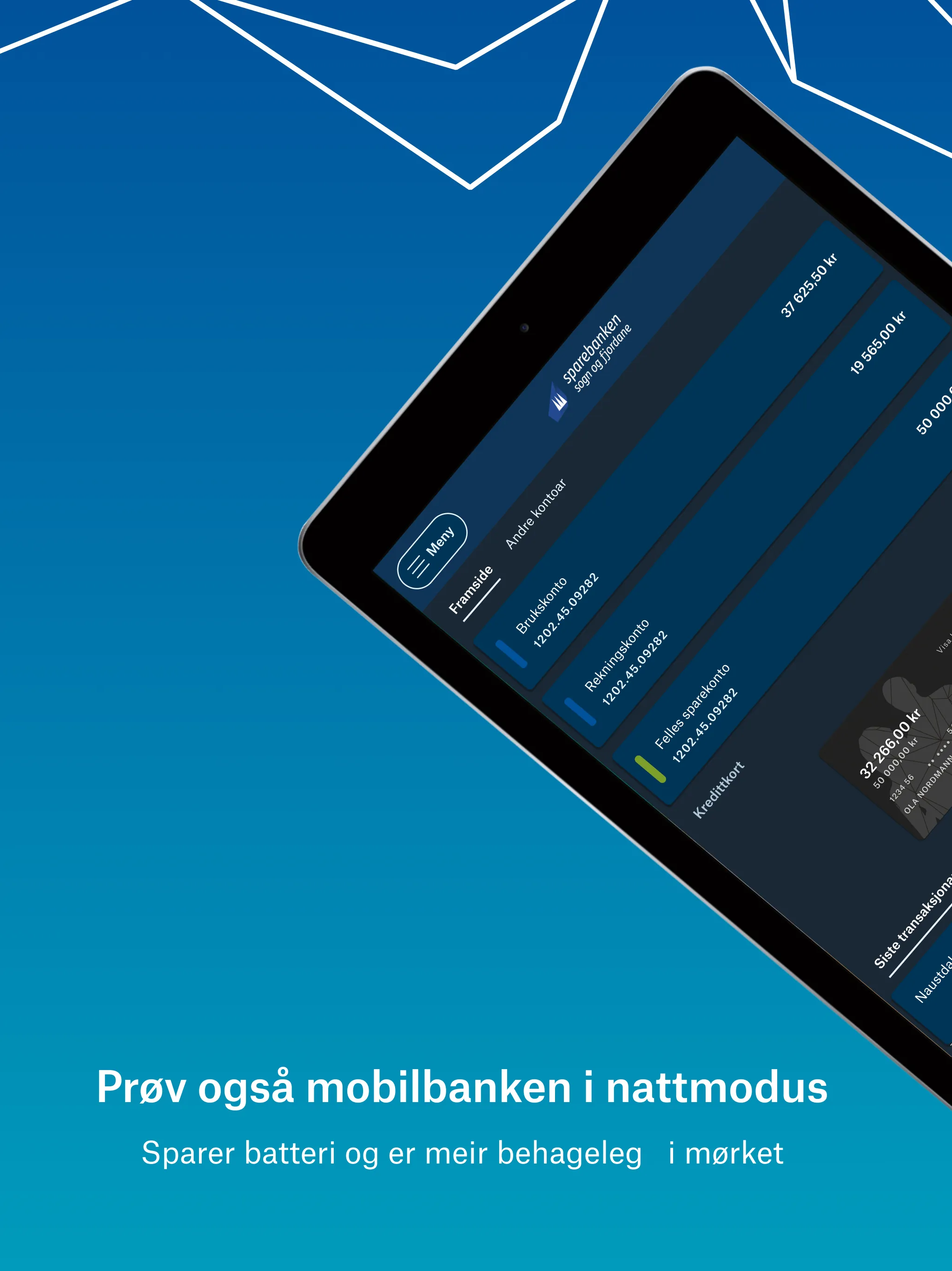 Onlinebank SSF | Indus Appstore | Screenshot