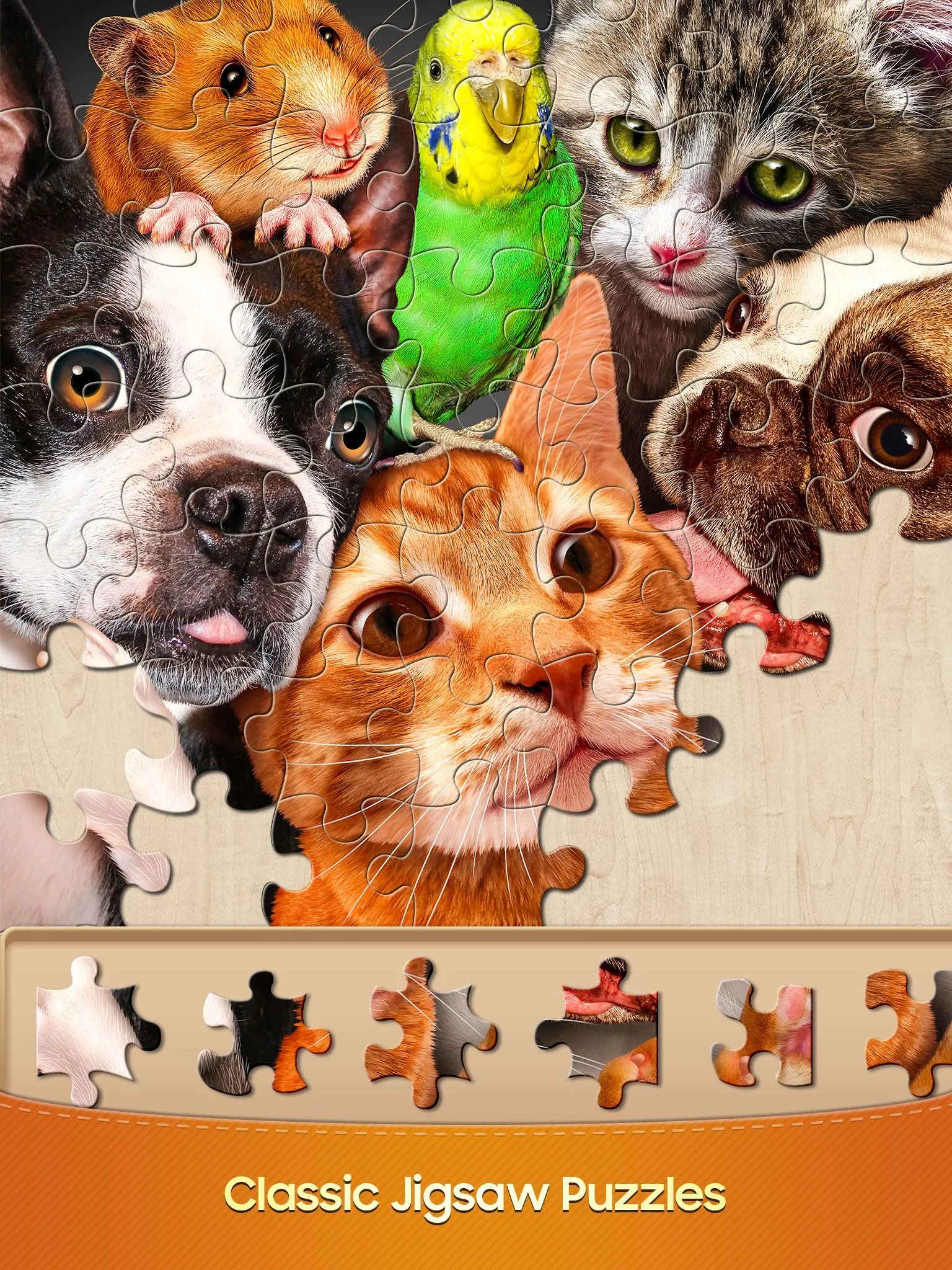 Jigsaw Puzzles Pro | Indus Appstore | Screenshot