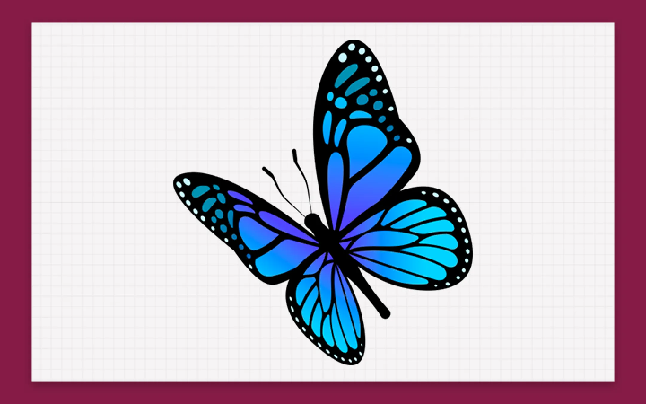 Butterfly Draw Step by Step | Indus Appstore | Screenshot