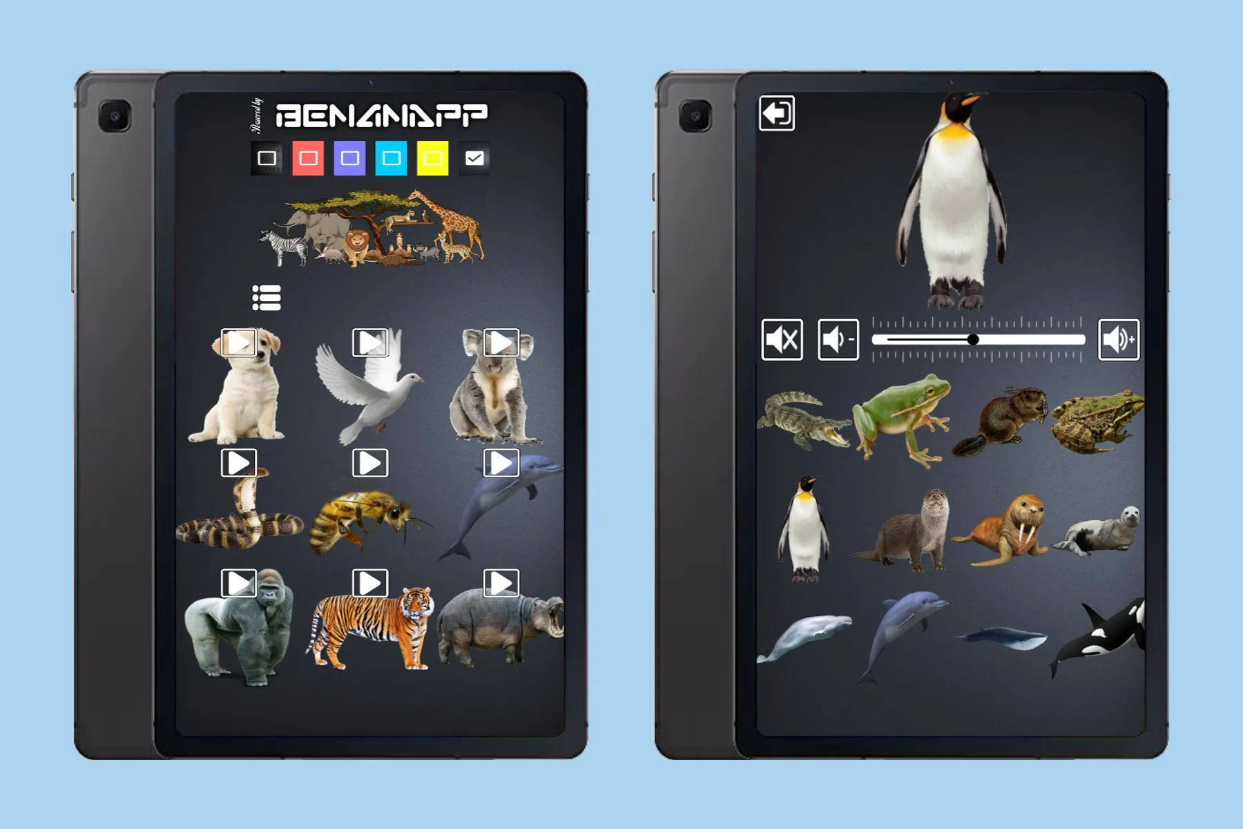 Animal Sounds | Indus Appstore | Screenshot