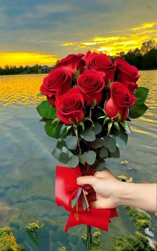 Roses And Flowers GIFs Images | Indus Appstore | Screenshot