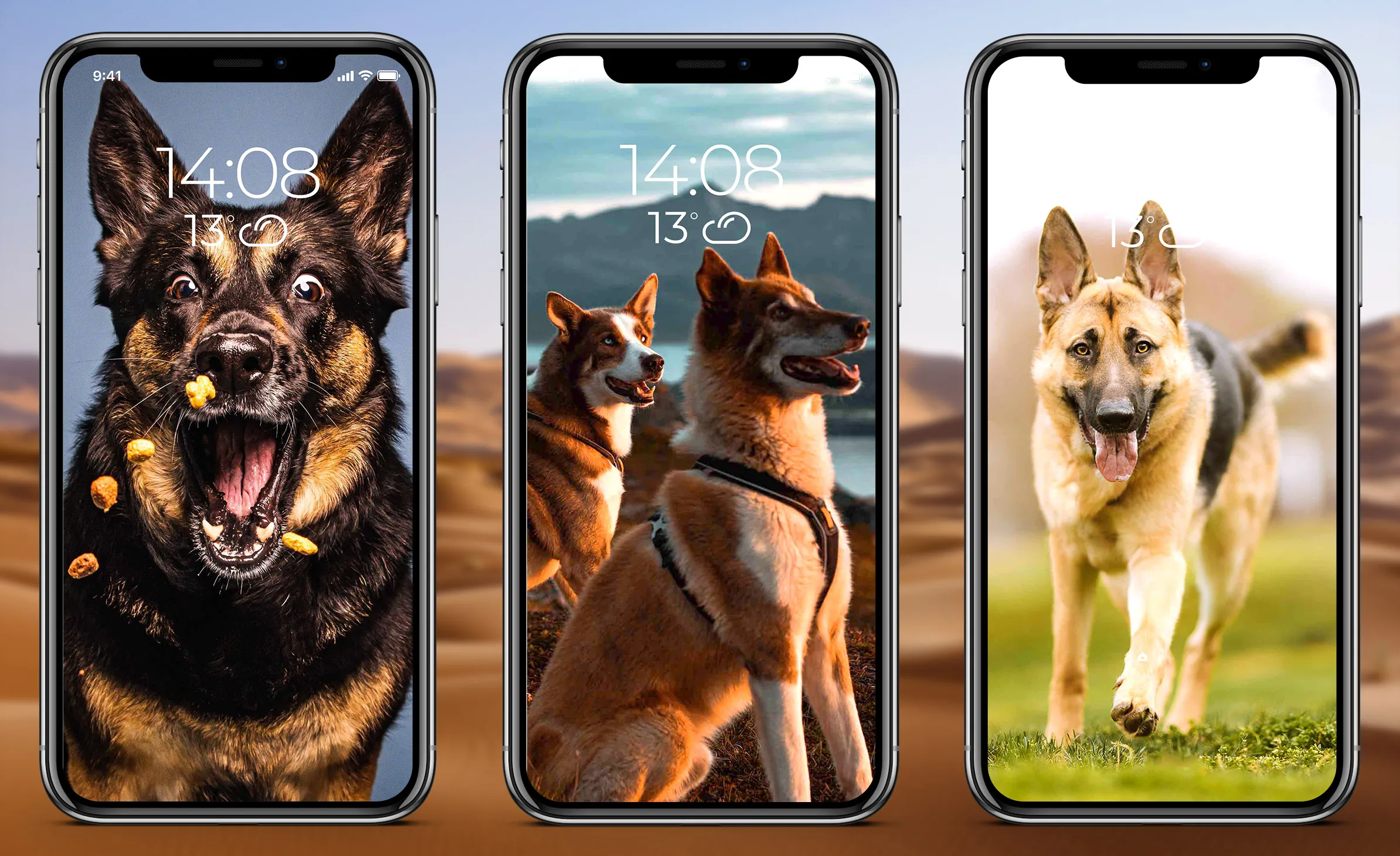 German Shepherd Wallpaper | Indus Appstore | Screenshot