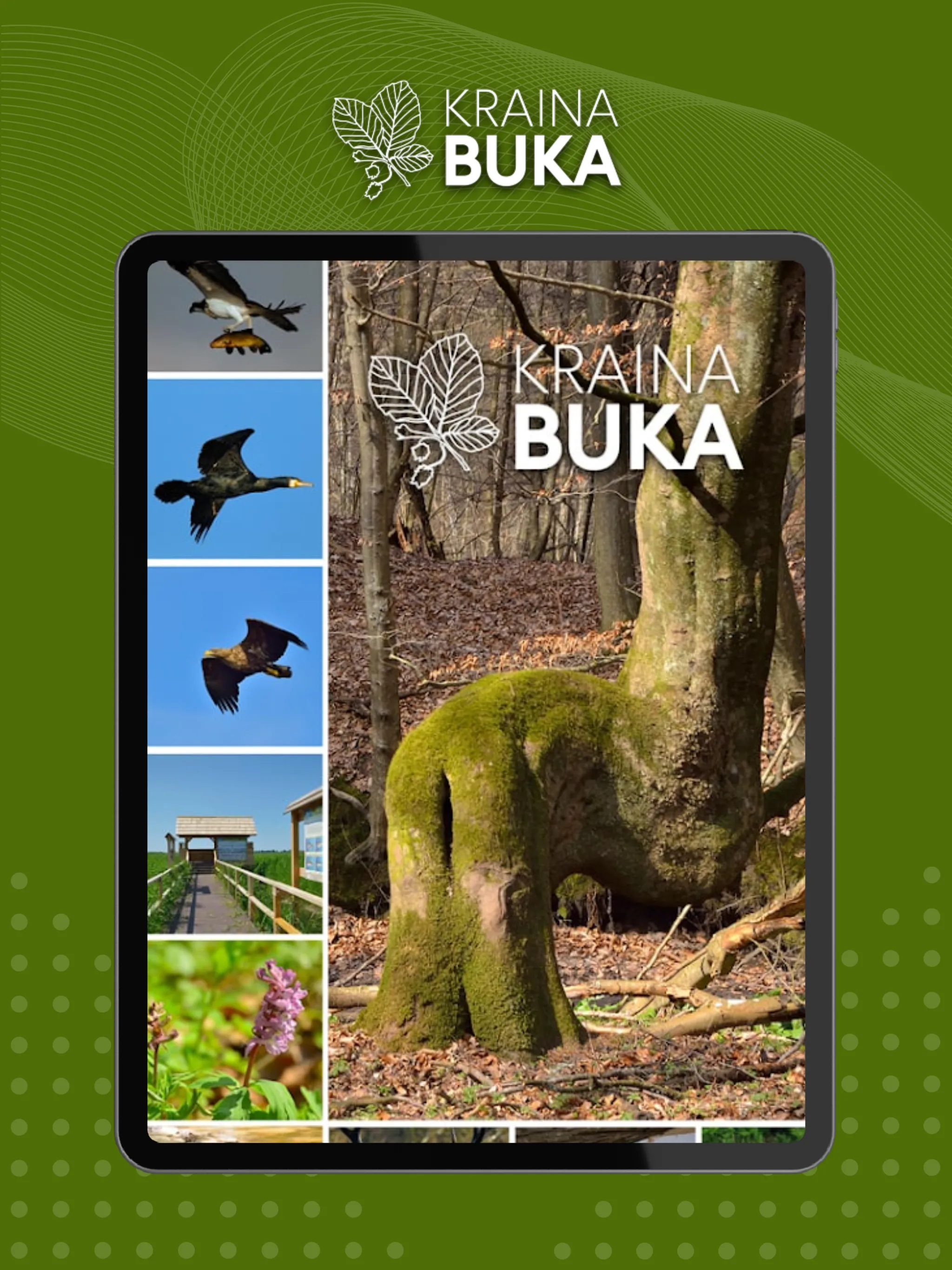 Kraina Buka | Indus Appstore | Screenshot