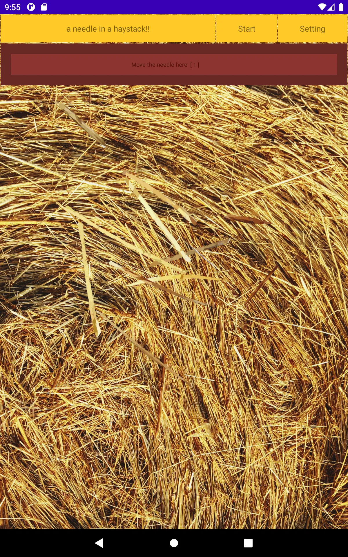 a needle in a haystack | Indus Appstore | Screenshot