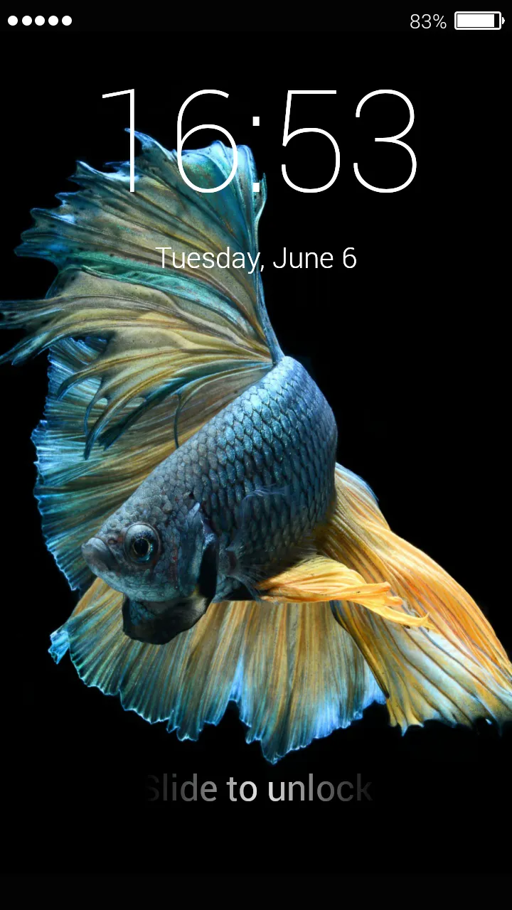 Betta Fish Lock Screen | Indus Appstore | Screenshot