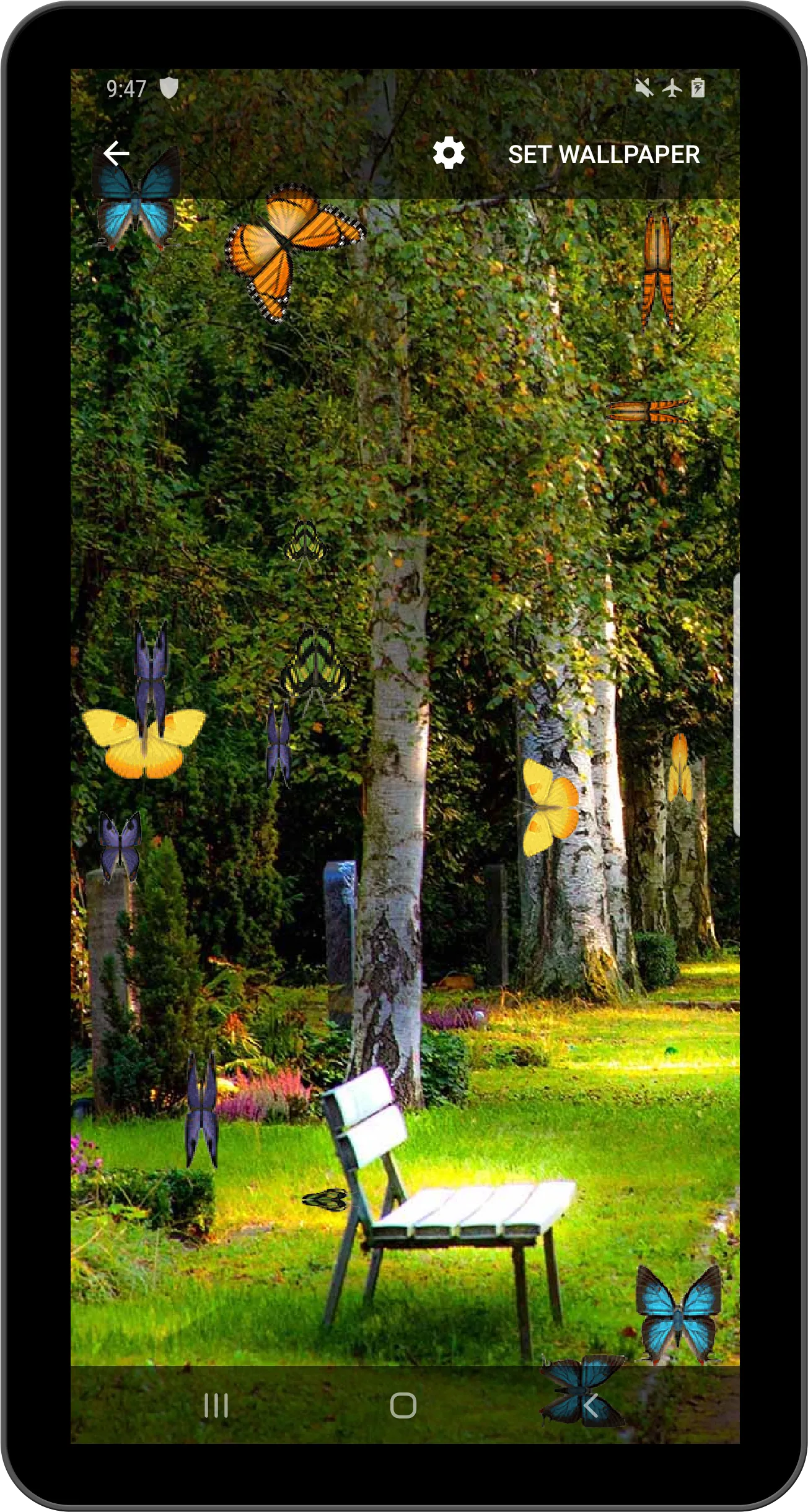 Butterfly and Blossom live wal | Indus Appstore | Screenshot