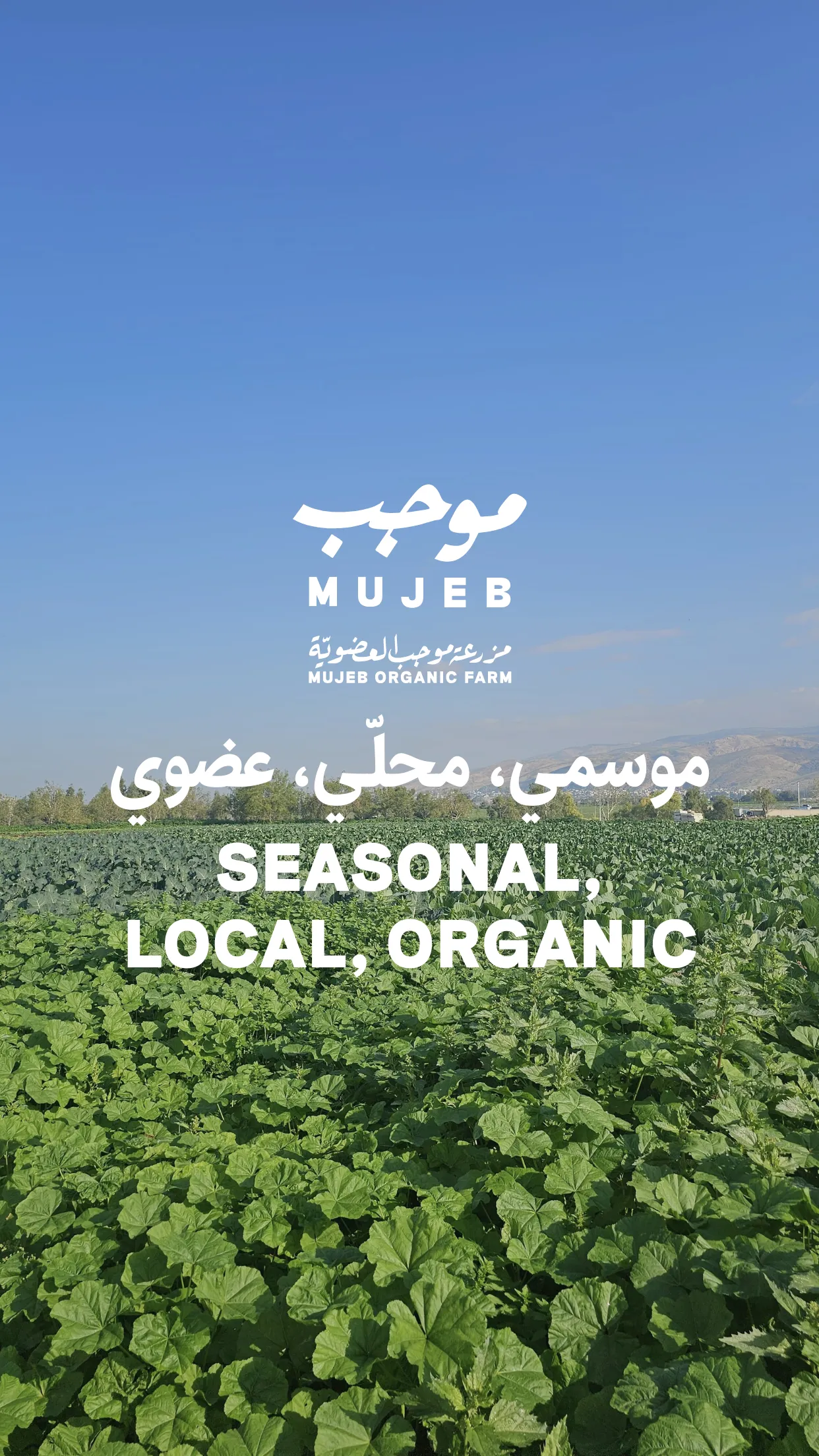 Mujeb Organic Farm | Indus Appstore | Screenshot