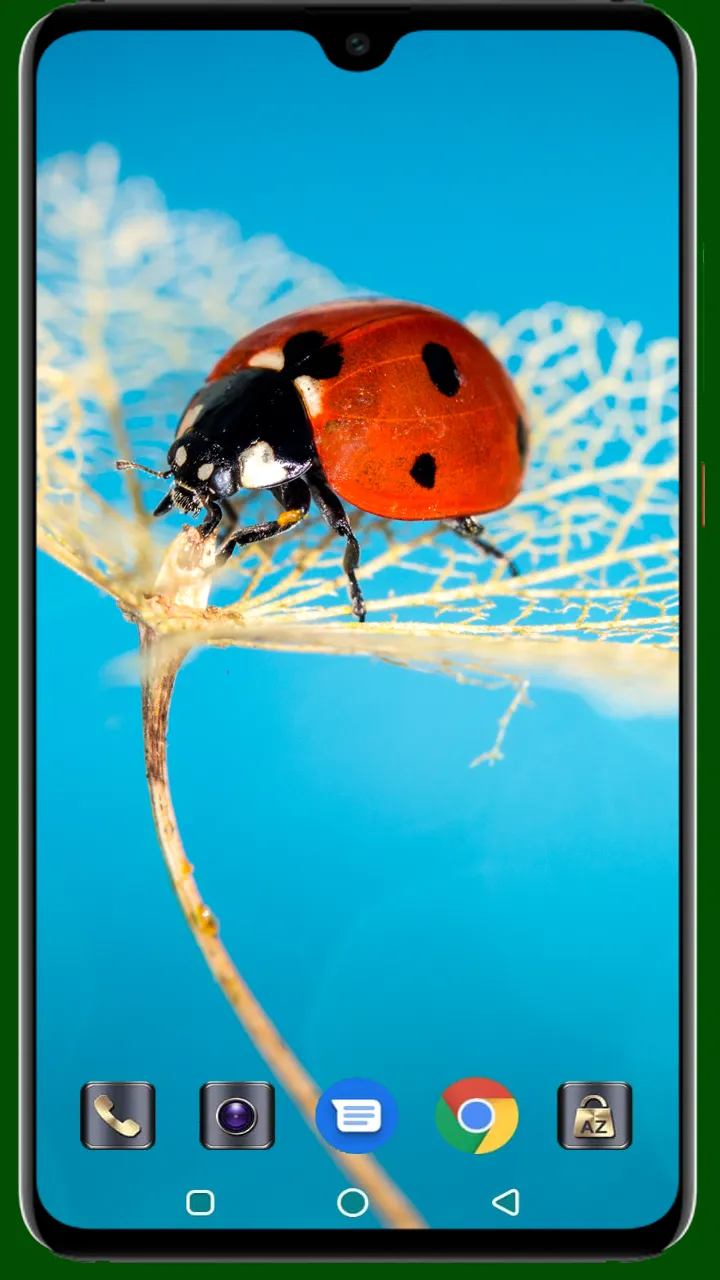 Lady Bug Wallpaper | Indus Appstore | Screenshot