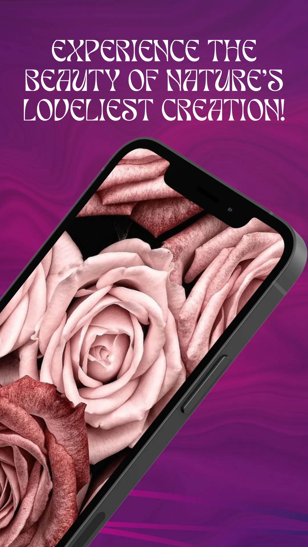 Flower wallpaper live rose HD | Indus Appstore | Screenshot