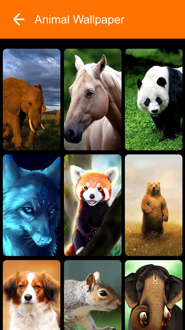 Animal Wallpaper 2023 | Indus Appstore | Screenshot