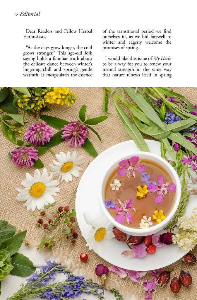 My Herbs Magazine | Indus Appstore | Screenshot