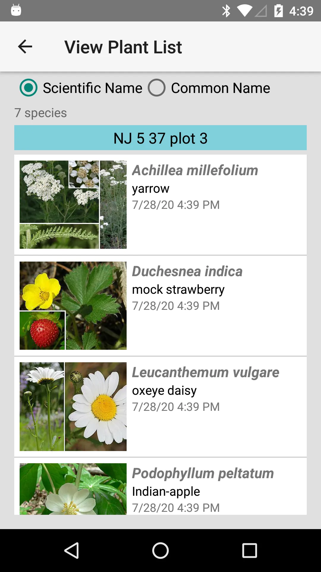 New Jersey Wildflowers | Indus Appstore | Screenshot