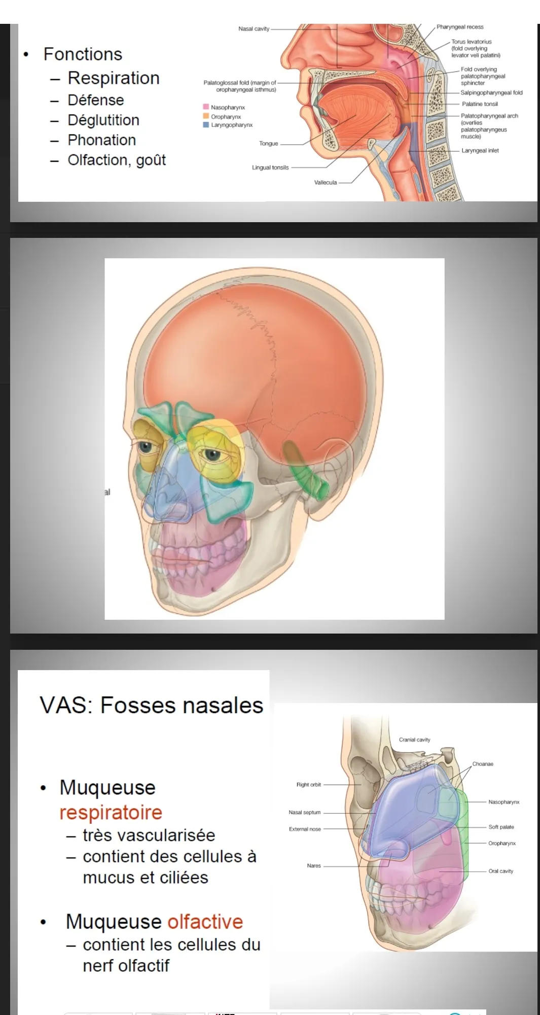 Electronic Medical Library | Indus Appstore | Screenshot