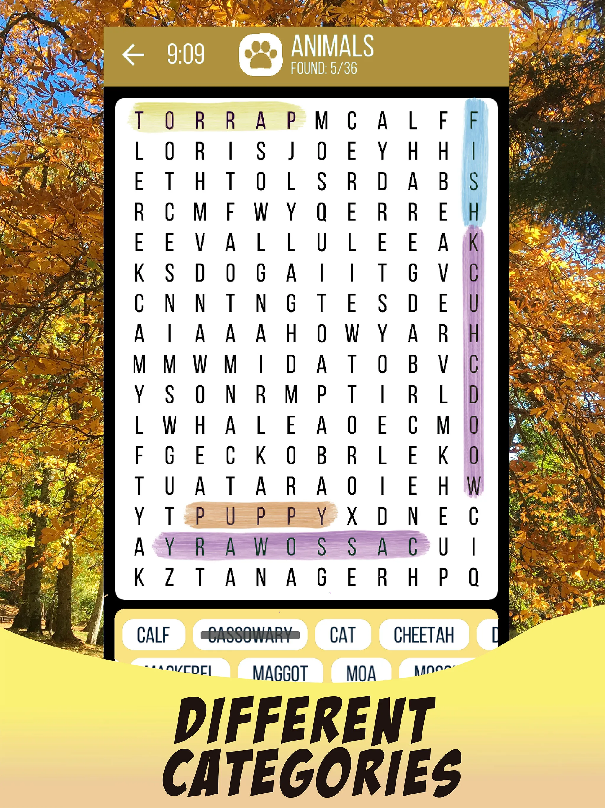 Word Search English Puzzle | Indus Appstore | Screenshot