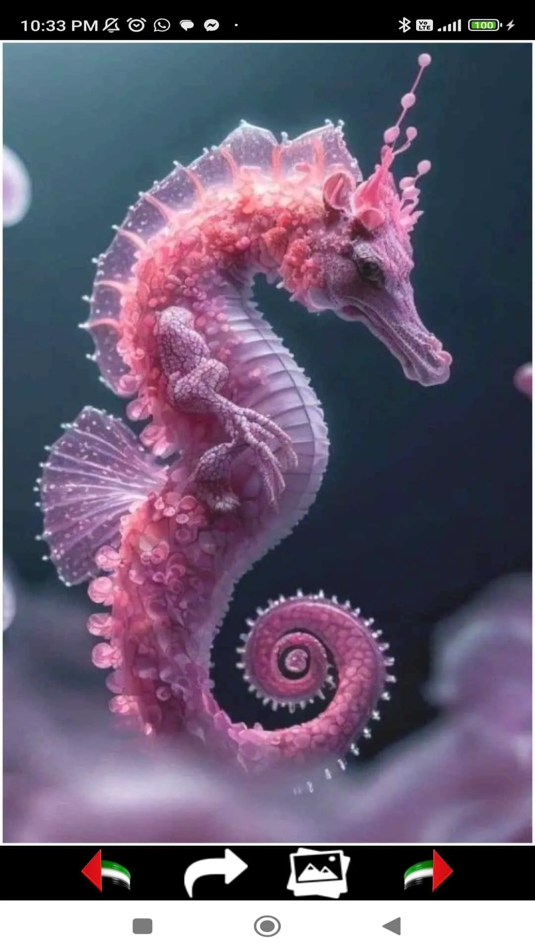 Sea Life Wallpapers | Indus Appstore | Screenshot