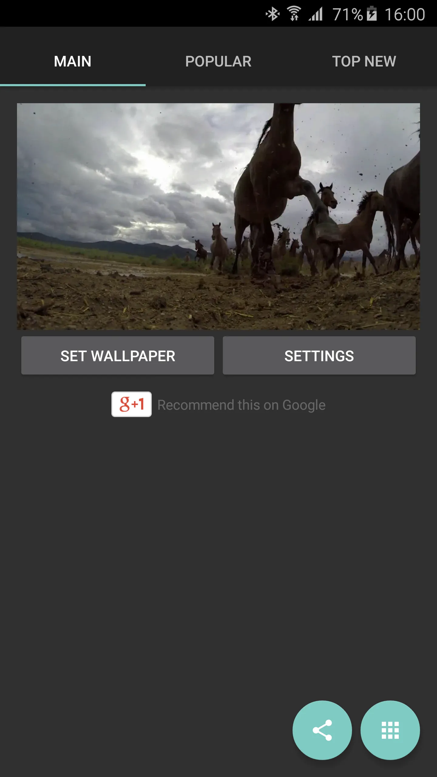 Wild Horses Live Wallpaper | Indus Appstore | Screenshot