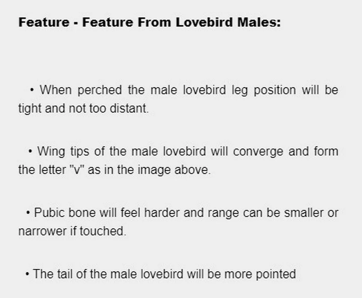 cultivating lovebird | Indus Appstore | Screenshot