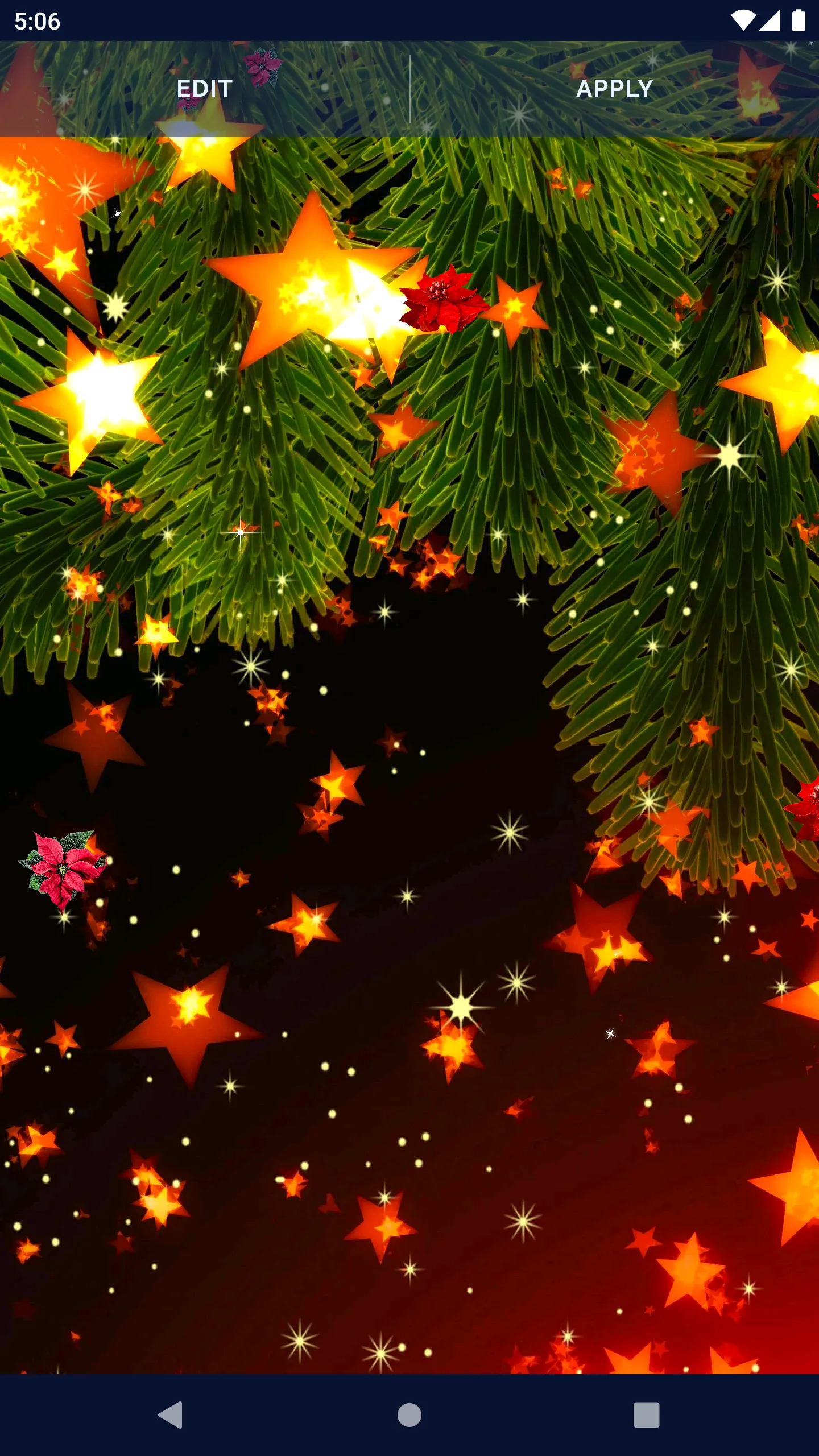 Poinsettia 4K Christmas Flower | Indus Appstore | Screenshot