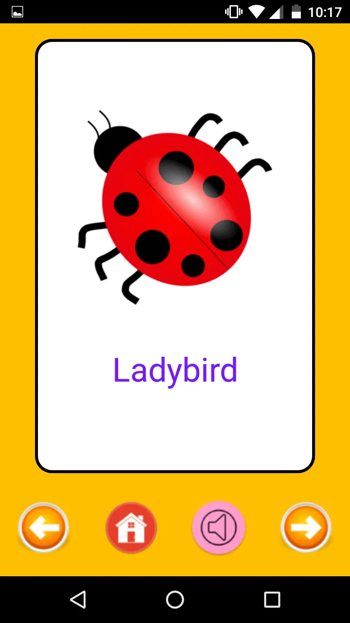 Kids Flashcards | Indus Appstore | Screenshot