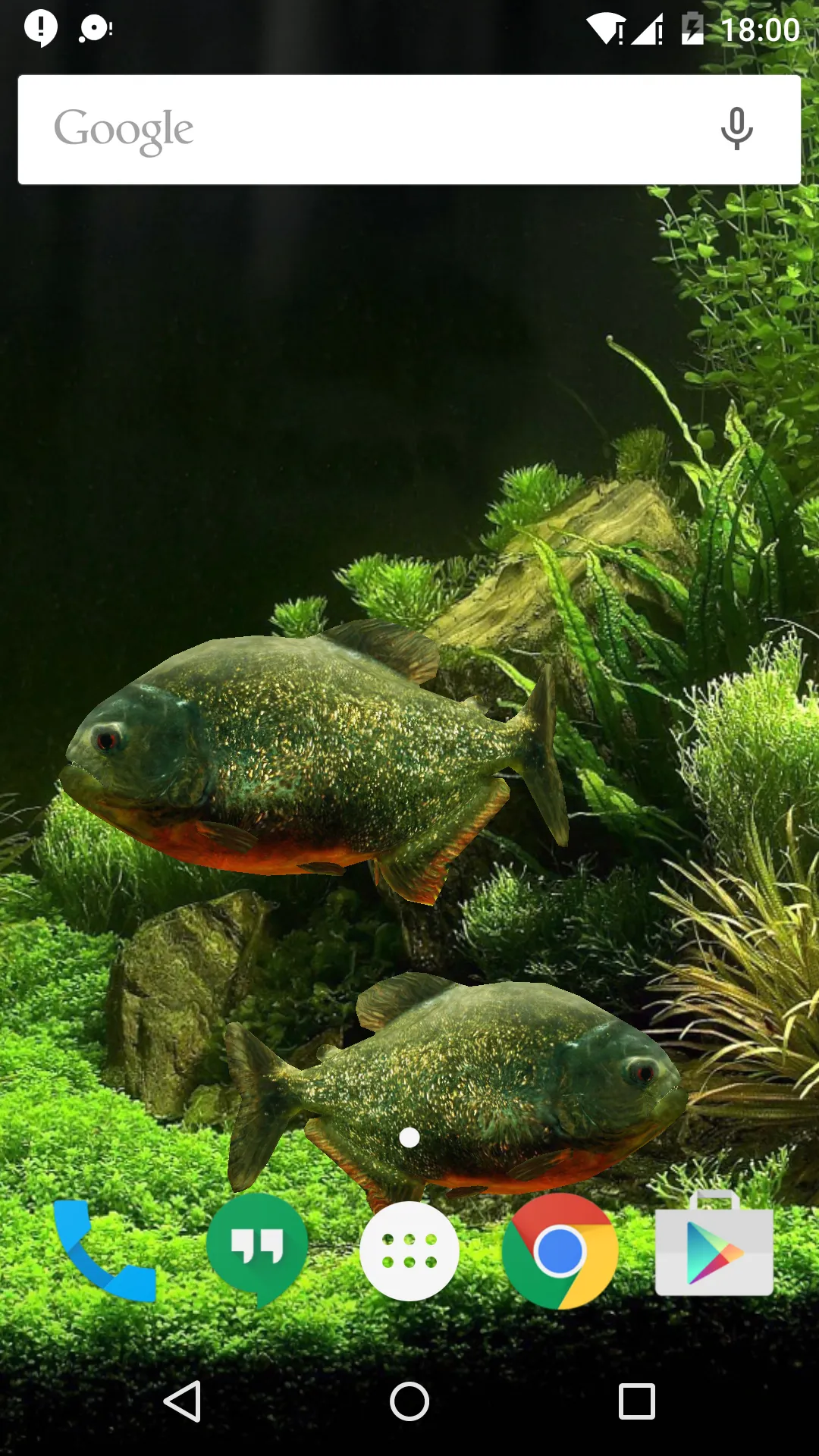 3D Fish Aquarium Wallpaper HD | Indus Appstore | Screenshot