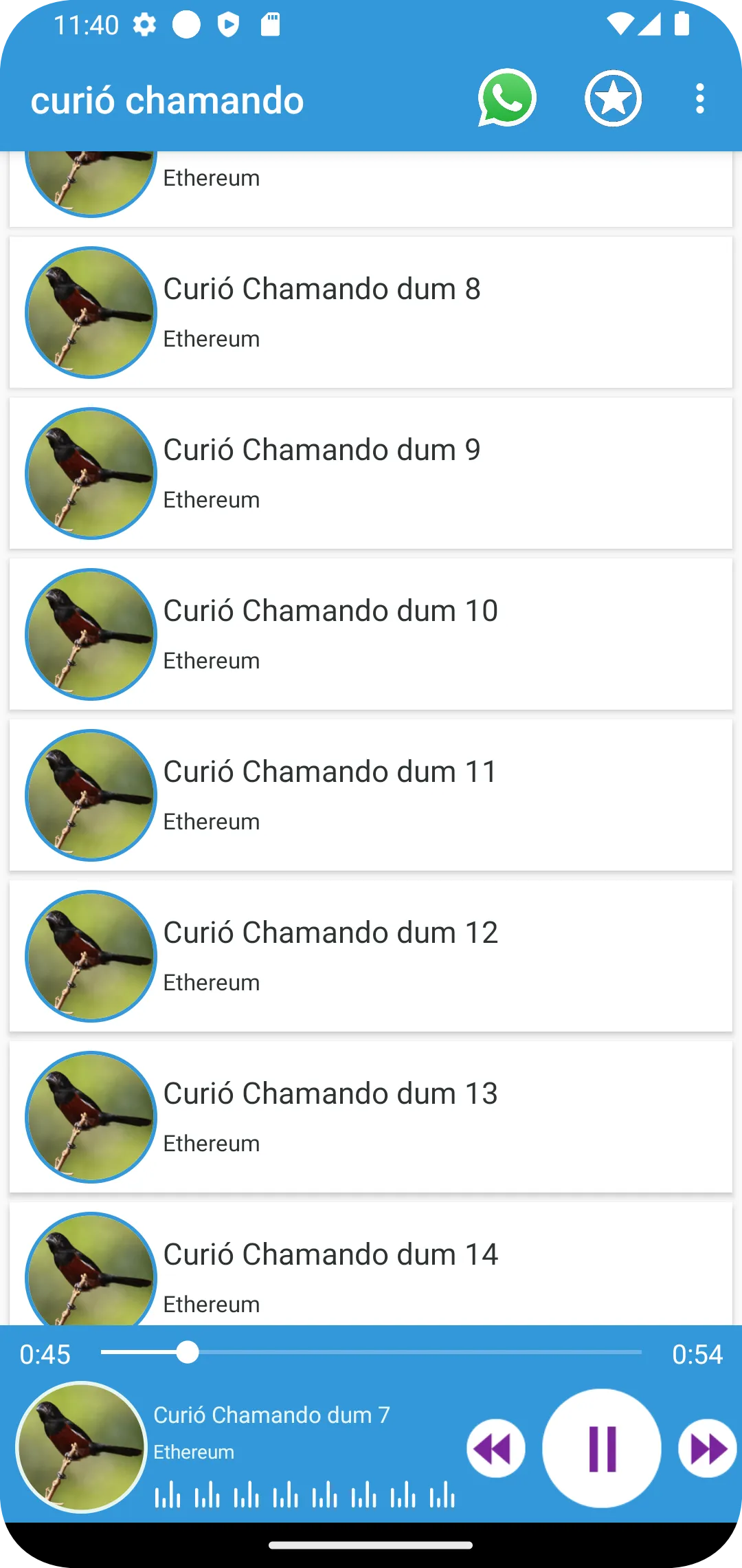 Curió chamando | Indus Appstore | Screenshot