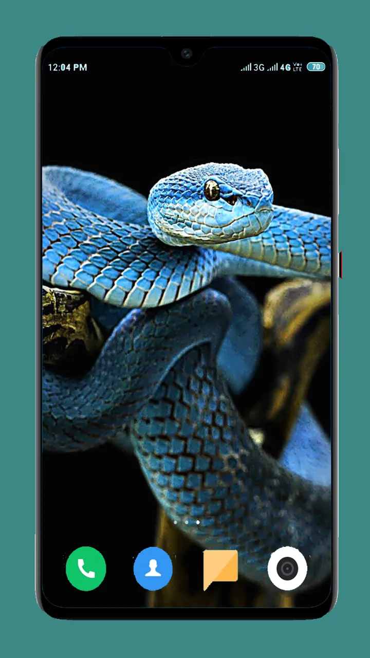 Snake Wallpaper HD | Indus Appstore | Screenshot