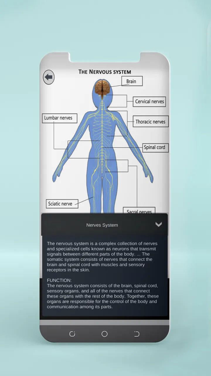 Female Anatomy 3D Anatomy App | Indus Appstore | Screenshot