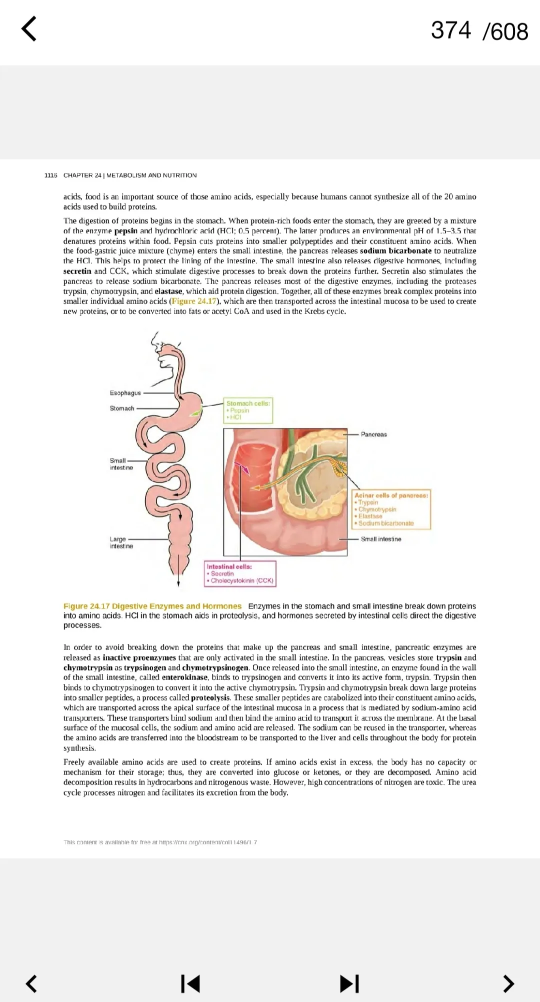 Book Anatomy and physiology | Indus Appstore | Screenshot