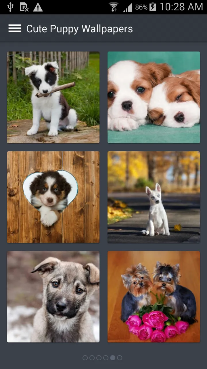 Cute Puppy Wallpapers | Indus Appstore | Screenshot