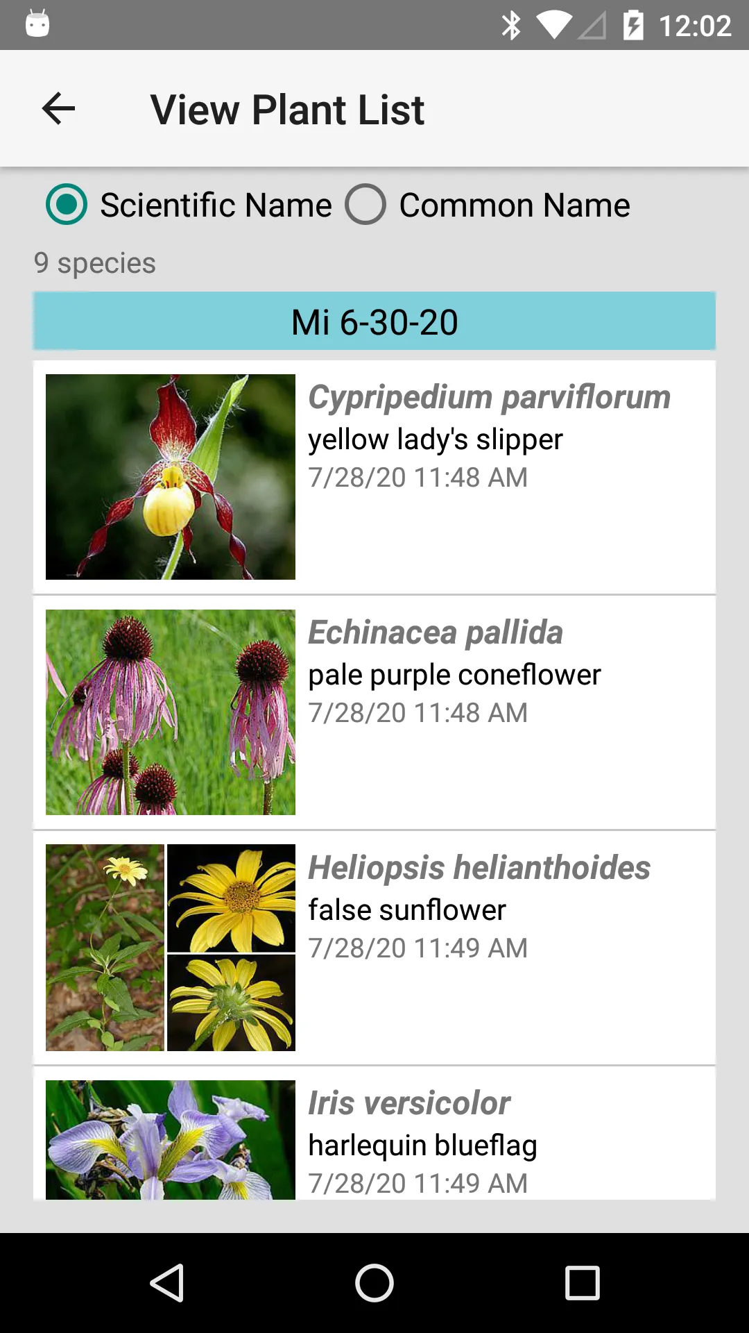 Minnesota Wildflower Search | Indus Appstore | Screenshot