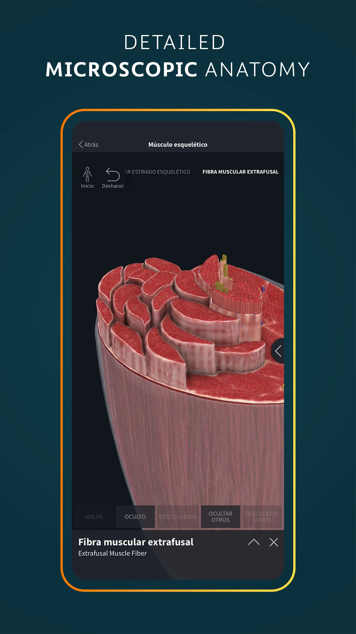 Complete Anatomy 2024 | Indus Appstore | Screenshot