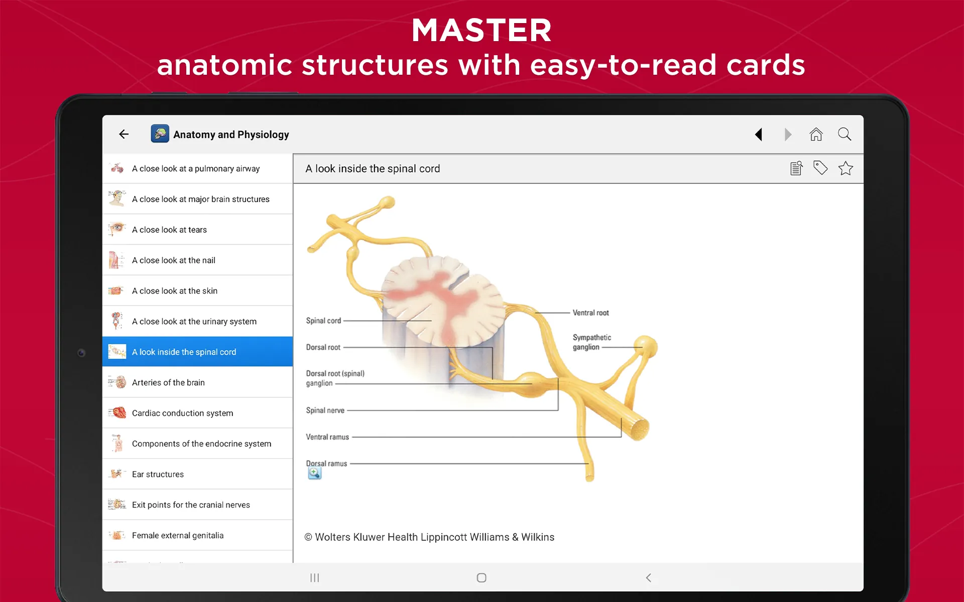 Anatomy & Physiology Made Easy | Indus Appstore | Screenshot