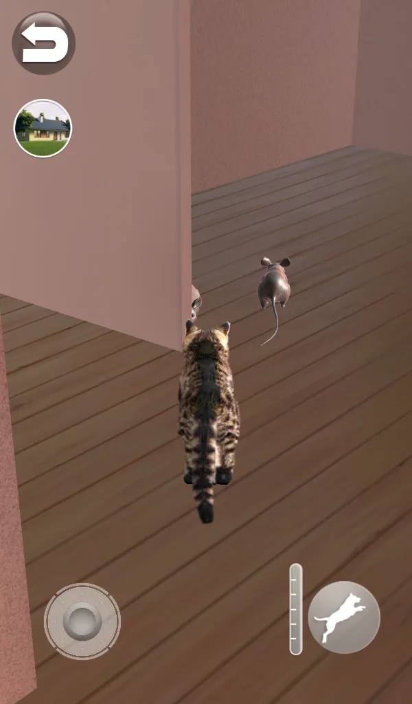 Talking Reality Cat | Indus Appstore | Screenshot