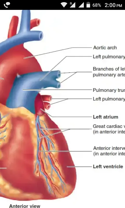 Nursing Study Notes | Indus Appstore | Screenshot