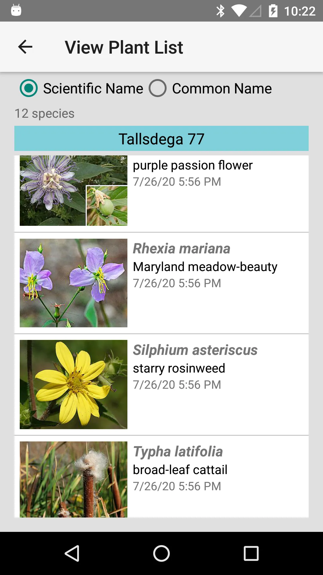 Kentucky Wildflowers | Indus Appstore | Screenshot