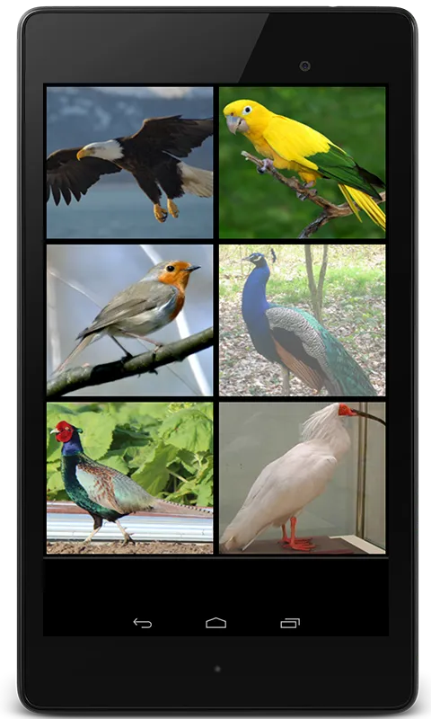 Birds Sounds for Bird | Indus Appstore | Screenshot