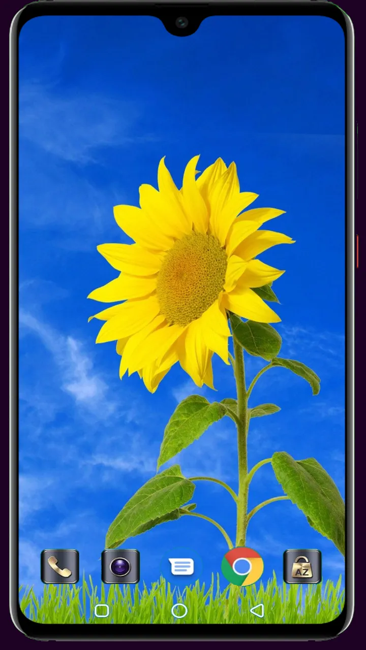 Sunflower Wallpaper | Indus Appstore | Screenshot