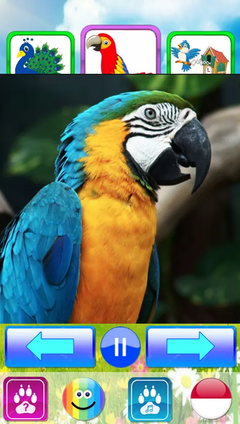 Animal sounds - Kids learn | Indus Appstore | Screenshot