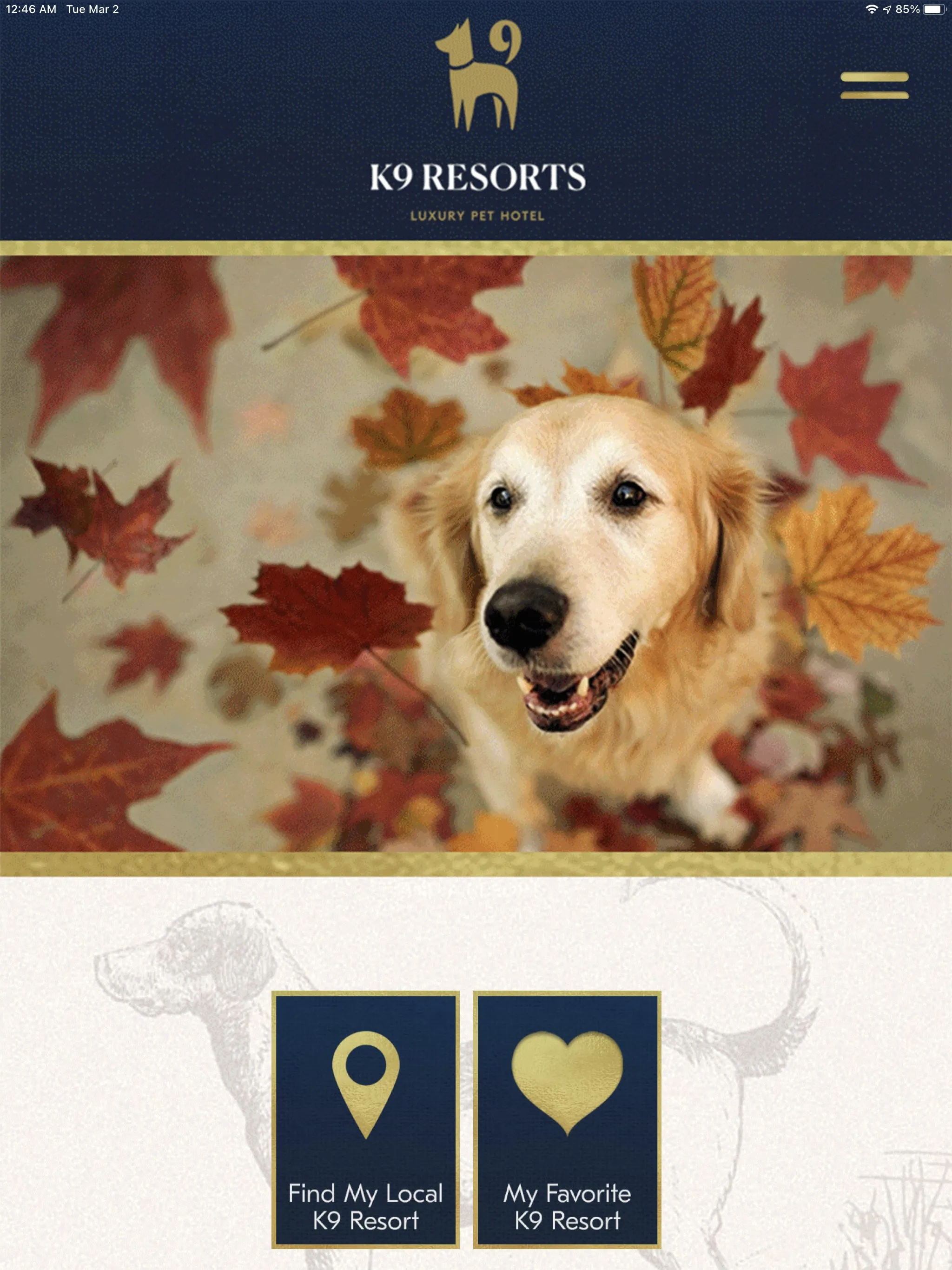 K9 Resorts | Indus Appstore | Screenshot