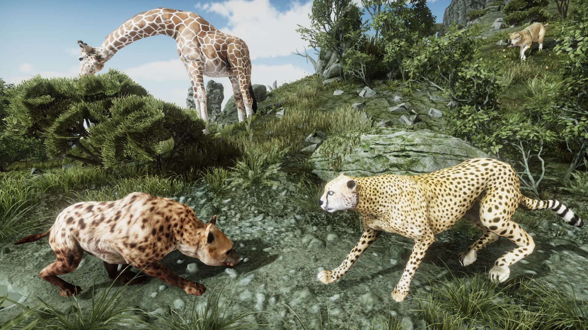 Ultimate Cheetah Simulator | Indus Appstore | Screenshot