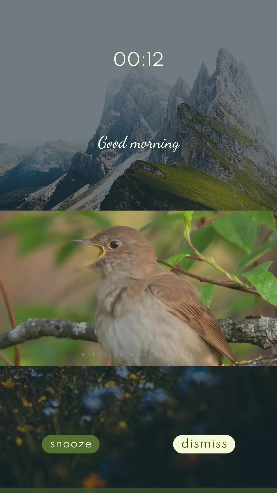 Nature sounds alarm clock | Indus Appstore | Screenshot