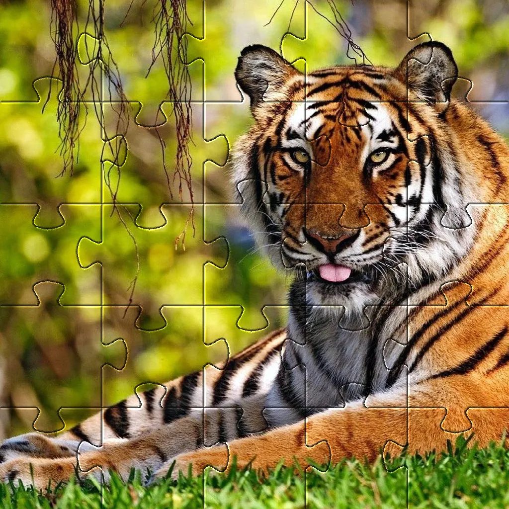 Tiger Jigsaw Puzzles  Games | Indus Appstore | Screenshot