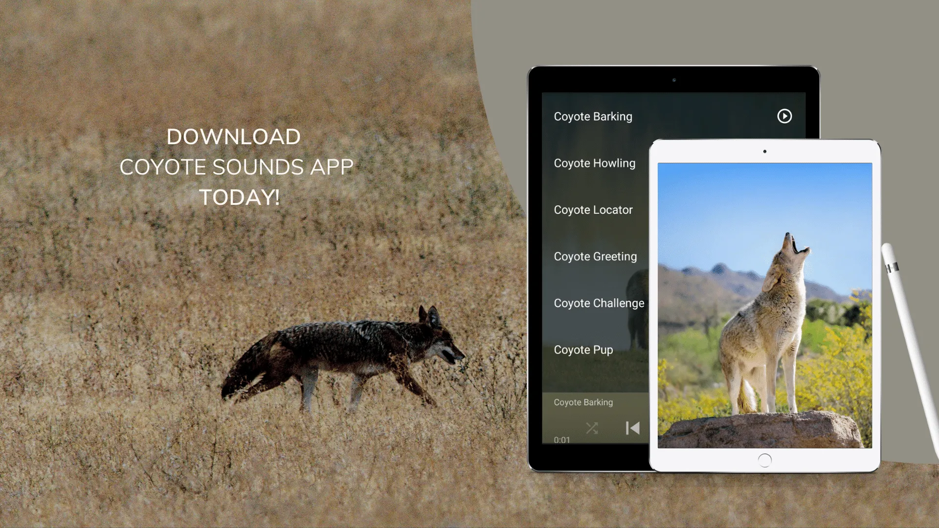 Coyote Sounds & Calls | Indus Appstore | Screenshot