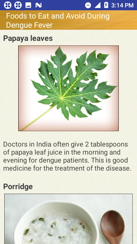 Dengue Fever Cure & Foods Diet | Indus Appstore | Screenshot